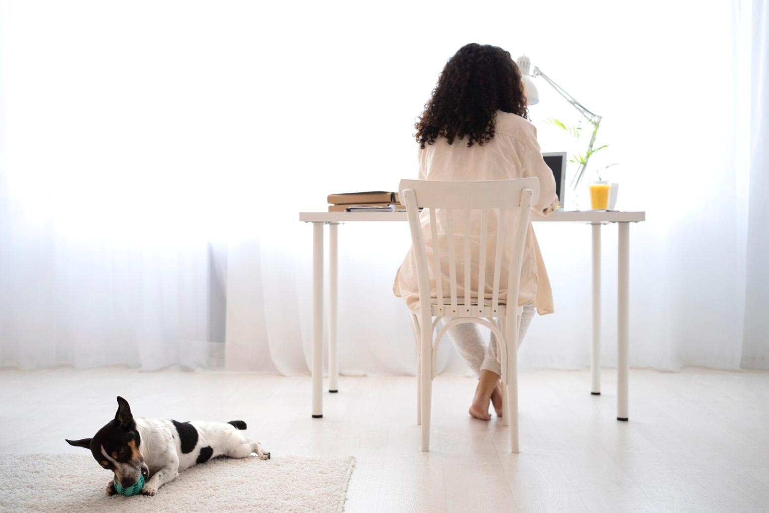 Gemeinsames Lernen in inspirierender Umgebung für effektive Budgetverwaltung